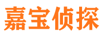 元宝市调查公司